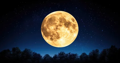 Large Yellow Full Moon Over Dark Silhouetted Trees Under Starlit Night Sky