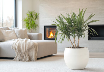 Elegant white ceramic pot enhances cozy living room with fireplace and greenery