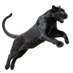 Fototapete Black Panther Leaping in Action isolated on white background as transparent. PNG.AI GENERATED © khaledSaifulllah