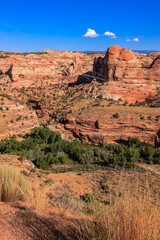 A rocky, barren landscape with a few trees scattered throughout