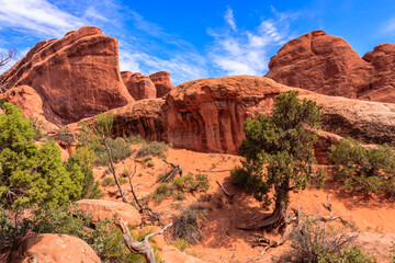 A rocky desert landscape with a lone tree in the foreground