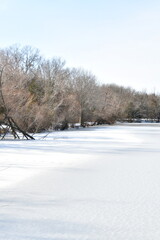Obraz premium Frozen Lake by a Forest