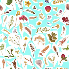 Seamless pattern, dried flowers, petals, grass blades, grass, herbarium, red, yellow, green, newspaper clippings, magazine clippings
