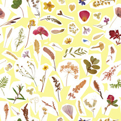 Seamless pattern of dried flowers, petals, grass blades. Herbarium of many plants on a yellow background. Stylized as newspaper or magazine clippings
