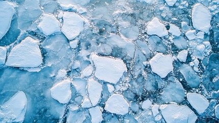 Aerial view of ice floes on frozen water.