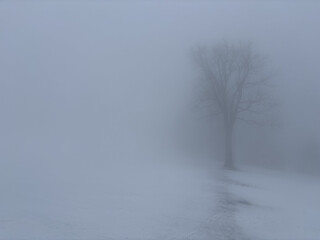 lost in the fog on the snowy mountains