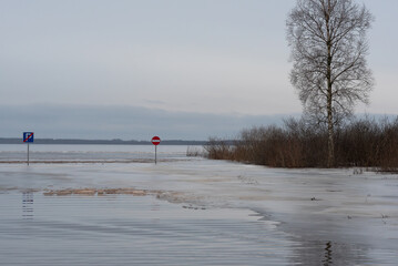  A flooded road with traffic signs and a solitary tree near calm water, under a gray overcast sky, creating a serene winter landscape.