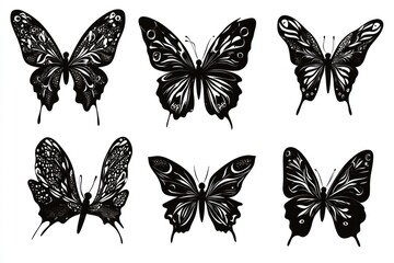 A close-up shot of various black and white butterfly species on a pure white surface