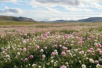 Blooming wild rose meadow with gentle sunlight and cloud shadows