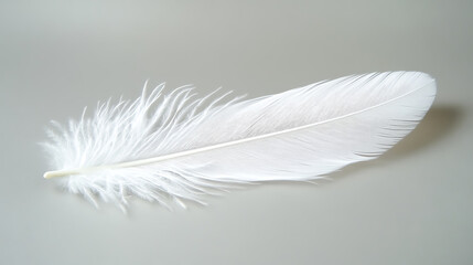 Obraz premium A soft feather resting on a still surface, representing lightness and inner peace
