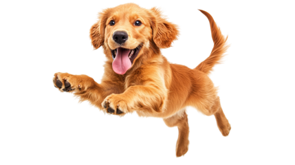 A happy golden retriever puppy joyfully jumping in the air, its golden fur shining brightly under the sunlight, ears flopping as it leaps with excitement. The puppy’s bright eyes and playful expressio