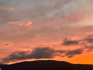 Landscape of an orange, red, yellow and pink sunset where palm trees can be seen