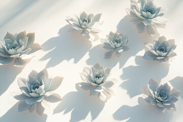 Pastel-colored succulents arranged aesthetically on a white background, bathed in soft sunlight.