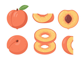 Fresh peach fruit icons different sides. Whole and cut peaches with pits, pieces and slices. Organic fruits for juice, smoothie or healthy food. Vector illustration isolated on white background.