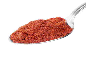 Spices closeup on the spoon 