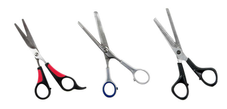 Set of the scissors isolated