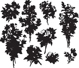 Set Flowers. Hand drawn vector illustration	