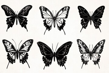 A cluster of black and white butterfly species in various poses