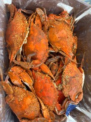 Maryland blue crabs © Kelly