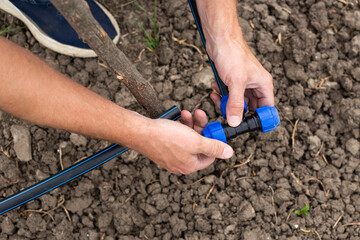 Fastening and connecting HDPE pipes with a fitting. A man installs an automatic drip irrigation system for his garden