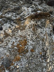 stream in the mountains