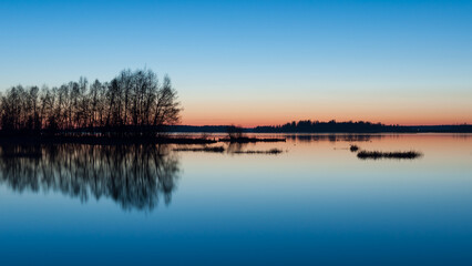 A line of trees on wetlands in a river delta in the blue evening light of early summer in Western Finland