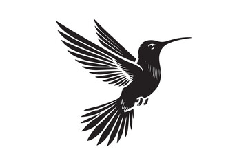 Humming bird silhouette