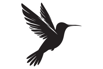Humming bird silhouette