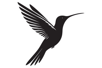 Humming bird silhouette