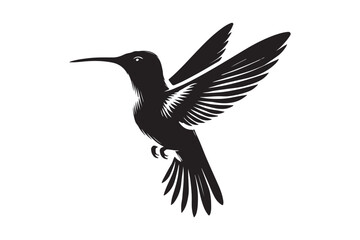 Humming bird silhouette