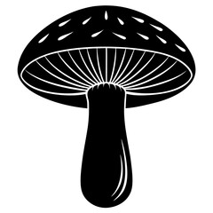 mushroom isolated on white