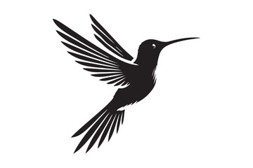 Humming bird silhouette