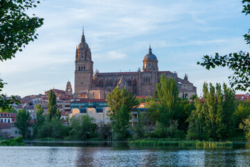 Obraz premium CATEDRAL DESDE EL RIO SALAMANCA DETALLES DE LA CIUDAD 2025 , SALAMANCA PHOTOS WITH DETAILS OF THE CITY SPAIN 