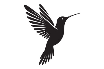 Humming bird silhouette