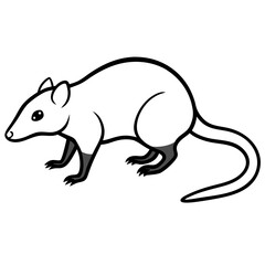 image of a rat