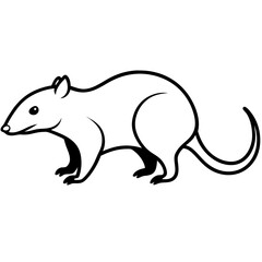 illustration of a squirrel