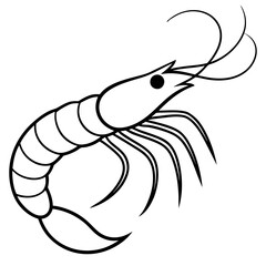 black and white snake