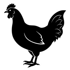 silhouette of a rooster