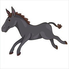 Colorful vector illustration: cute baby donkey character ready to print