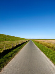 Asphalted agricultural track and cycle path along the dike on the German North Sea coast in East Frisia, grazing flock of sheep, blue sky. Germany, East Frisia, Norddeich