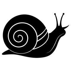 snail on a white background