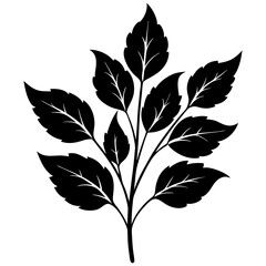 black and green leaves