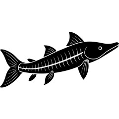 fish isolated on white