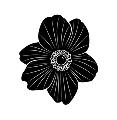 anemone (anemone hupehensis) flower isolated on white background