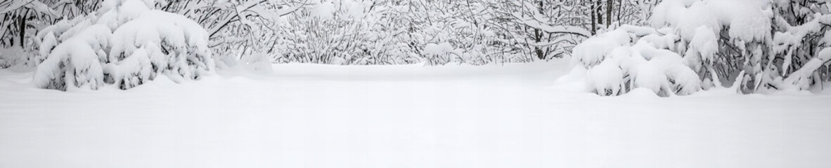 Naklejka premium Snow-covered landscape creating a serene atmosphere in a forest during winter months