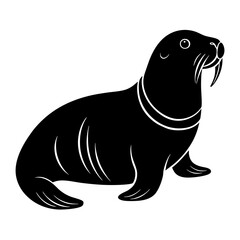 black sea lion