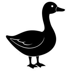 duck on white