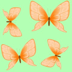 Seamless pattern with orange butterfly 