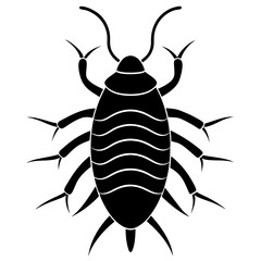 beetle isolated on white