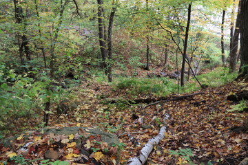 Autumn landscape with trees and lake near Interstate State Park in Taylors Falls, Minnesota. 